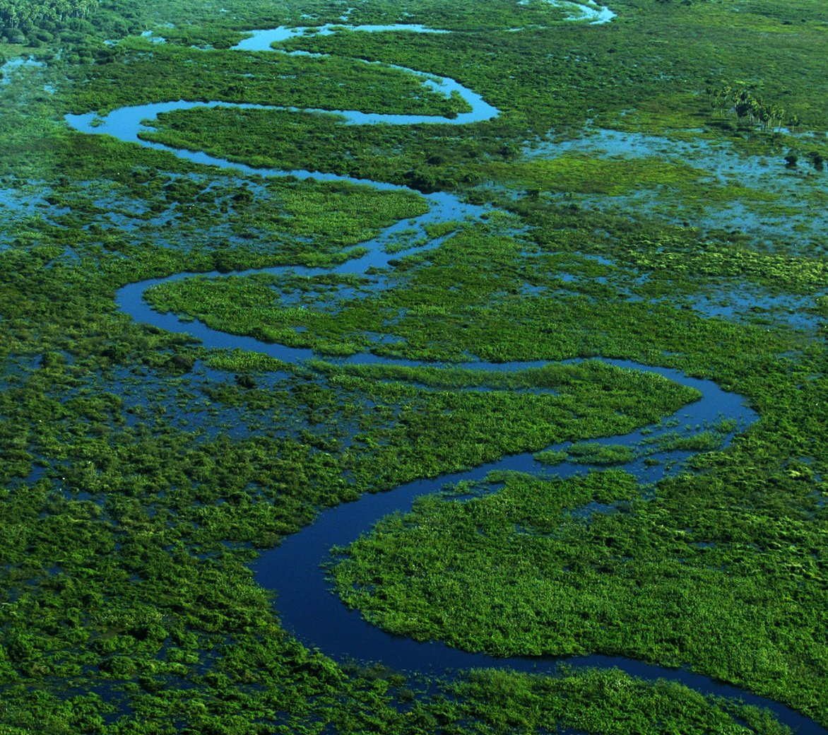 wetland restoration